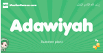 Adawiyah arabic girl name and meaning, quranic girls name Adawiyah
