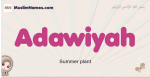 Adawiyah muslim girls name and meaning, islamic girls name Adawiyah