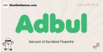 Adbul muslim boys name and meaning, islamic boys name Adbul