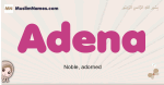Adena muslim girls name and meaning, islamic girls name Adena