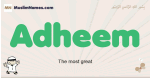 Adheem muslim boys name and meaning, islamic boys name Adheem