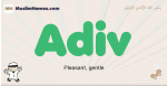 Adiv muslim boys name and meaning, islamic boys name Adiv