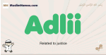 Adlii muslim boys name and meaning, islamic boys name Adlii