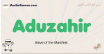 Aduzahir muslim boys name and meaning, islamic boys name Aduzahir