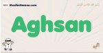 Aghsan muslim boys name and meaning, islamic boys name Aghsan