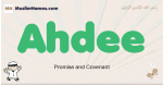 Ahdee muslim boys name and meaning, islamic boys name Ahdee