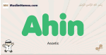 Ahin muslim boys name and meaning, islamic boys name Ahin