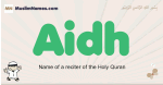 Aidh muslim boys name and meaning, islamic boys name Aidh