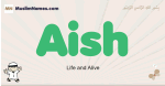 Aish muslim boys name and meaning, islamic boys name Aish