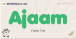 Ajaam muslim boys name and meaning, islamic boys name Ajaam