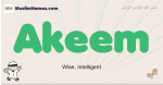 Akeem muslim boys name and meaning, islamic boys name Akeem
