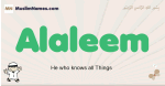 Alaleem muslim boys name and meaning, islamic boys name Alaleem