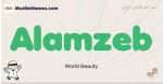 Alamzeb muslim boys name and meaning, islamic boys name Alamzeb