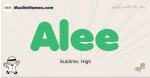 Alee muslim boys name and meaning, islamic boys name Alee