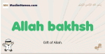 Allah-bakhsh muslim boys name and meaning, islamic boys name Allah-bakhsh