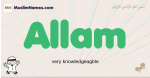 Allam muslim boys name and meaning, islamic boys name Allam