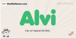 Alvi muslim boys name and meaning, islamic boys name Alvi