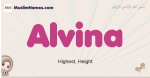 Alvina muslim girls name and meaning, islamic girls name Alvina
