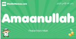 Amaanullah arabic boys name and meaning, quranic boys name Amaanullah