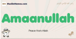 Amaanullah muslim boys name and meaning, islamic boys name Amaanullah