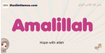 Amalillah muslim girls name and meaning, islamic girls name Amalillah