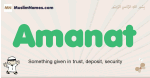 Amanat muslim boys name and meaning, islamic boys name Amanat