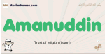 Amanuddin muslim boys name and meaning, islamic boys name Amanuddin