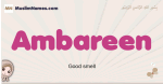 Ambareen muslim girls name and meaning, islamic girls name Ambareen