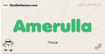 Amerulla muslim boys name and meaning, islamic boys name Amerulla