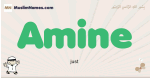 Amine muslim boys name and meaning, islamic boys name Amine