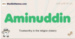Aminuddin muslim boys name and meaning, islamic boys name Aminuddin