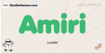 Amiri muslim boys name and meaning, islamic boys name Amiri