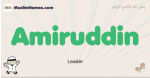 Amiruddin muslim boys name and meaning, islamic boys name Amiruddin