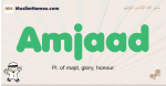 Amjaad muslim boys name and meaning, islamic boys name Amjaad