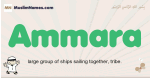 Ammara muslim boys name and meaning, islamic boys name Ammara