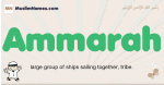 Ammarah muslim boys name and meaning, islamic boys name Ammarah