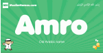 Amro arabic boys name and meaning, quranic boys name Amro