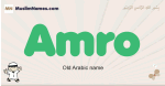 Amro muslim boys name and meaning, islamic boys name Amro