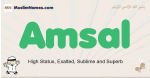 Amsal muslim boys name and meaning, islamic boys name Amsal