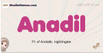 Anadil muslim girls name and meaning, islamic girls name Anadil