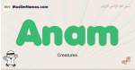 Anam muslim boys name and meaning, islamic boys name Anam