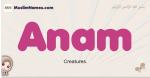 Anam muslim girls name and meaning, islamic girls name Anam