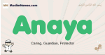 Anaya muslim boys name and meaning, islamic boys name Anaya