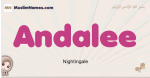 Andalee muslim girls name and meaning, islamic girls name Andalee