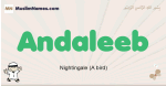 Andaleeb muslim boys name and meaning, islamic boys name Andaleeb