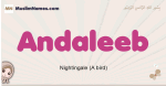 Andaleeb muslim girls name and meaning, islamic girls name Andaleeb
