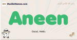 Aneen muslim boys name and meaning, islamic boys name Aneen