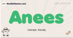 Anees muslim boys name and meaning, islamic boys name Anees