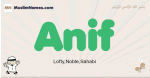 Anif muslim boys name and meaning, islamic boys name Anif