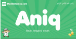 Aniq arabic boys name and meaning, quranic boys name Aniq